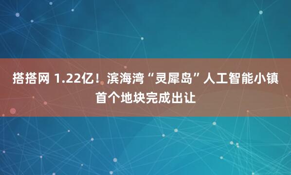 搭搭网 1.22亿！滨海湾“灵犀岛”人工智能小镇首个地块完成出让