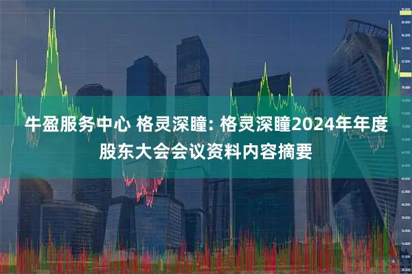 牛盈服务中心 格灵深瞳: 格灵深瞳2024年年度股东大会会议资料内容摘要